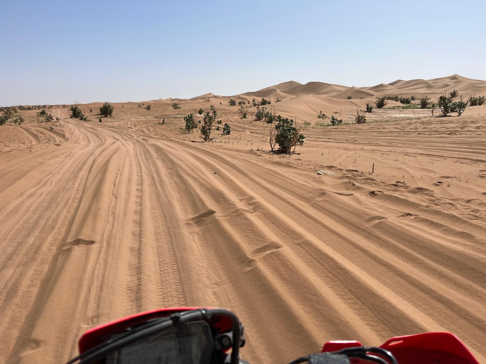 TOUR del  MAROCCO del Sud, Atlante Oceano Deserti